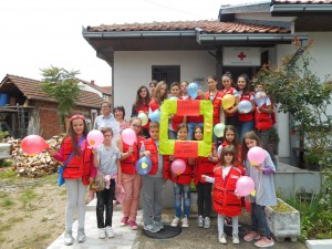 Red Cross of Serbia 2